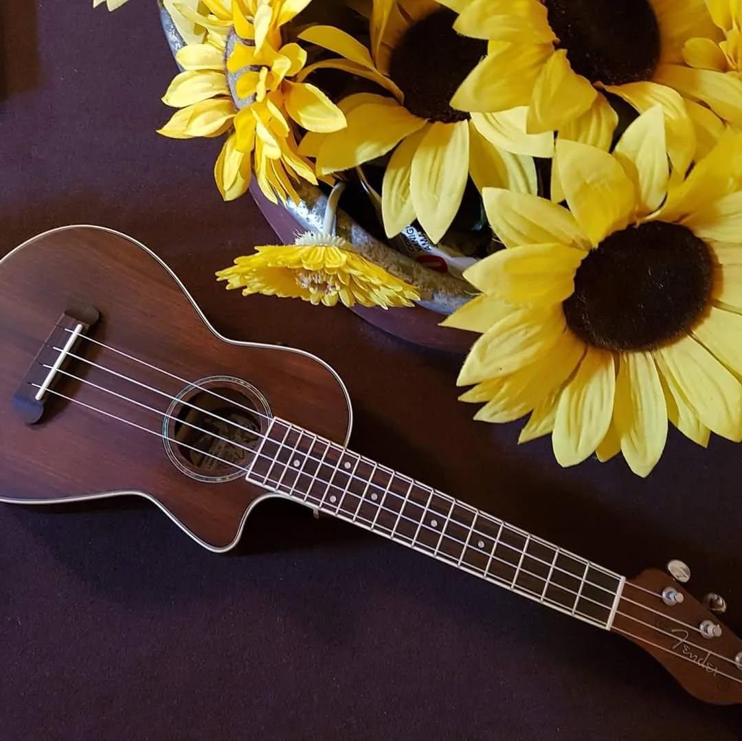 Corso di Corso di Ukulele